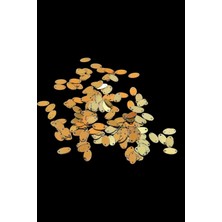 Oval Gold 8X13 mm Çift Delikli Pul Payet 30 gr (Tülbent, Oya, Havlu Malzemesi)