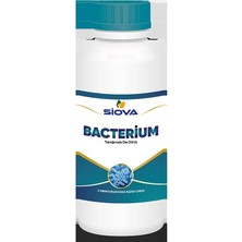 Siova Bacterium 1 Lt.