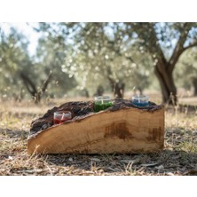 Wood Askania Zeytin Ağacından Ahşap Mumluk