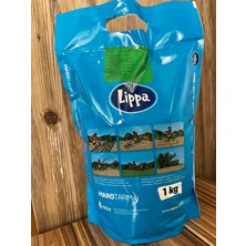 Barenbrug Çim Tohumu  Water Saver 1 kg (40 M2 Uygulama) Ithal