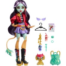 Oyunca  Monster High Ana Karakter Bebekler HPD53