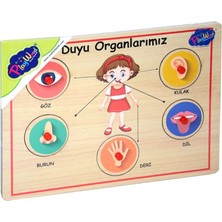 Oyunca 166/167 Onyıl, Ahşap Tutmalı Organlar