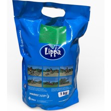 Lippa Çim Tohumu 1 kg 4'lü Karışım - Hızlı Çimlenen Bahçe Çimi