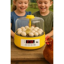 Eco Lounge Tam Otomatik Ev Tipi Kuluçka Makinesi Isı ve Nem Ayarlı Gün Sayaçlı