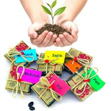 Raftan Topla Dilek Tohumları - Başarı