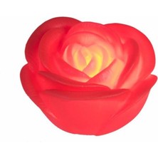 Raftan Topla LED Işıklı Gül Romantik Gül