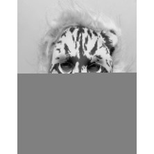 Veralya Sarı Yeleli Sarı Saçlı Aslan Maskesi Mega Peluş 2 No