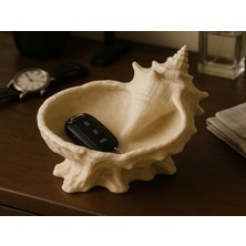 Deniz Kabuğu Çok Amaçlı Dekoratif Organizer Kase