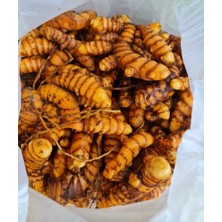 Drz Tarım Zerdeçal Taze  (100 GR)