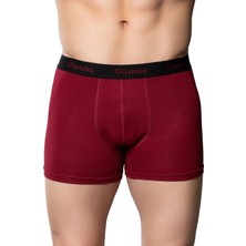 Gümüş 3074 3'lü Erkek Likralı Spor Boxer