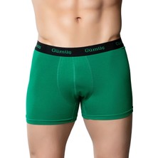 Gümüş 3074 3'lü Erkek Likralı Spor Boxer