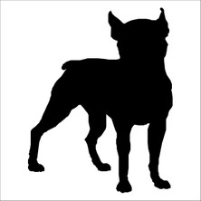 Technopa KÖPEK FOLYO STİCKER - 60cm Uzunluk