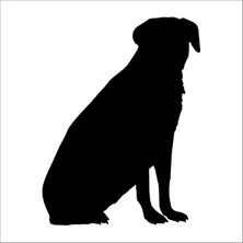 Technopa KÖPEK FOLYO STİCKER DERSTV895 - 30cm Uzunluk