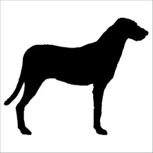 Technopa KÖPEK FOLYO STİCKER - 40cm Uzunluk