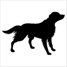 Technopa KÖPEK FOLYO STİCKER DERSTV870 - 20cm uzunluk