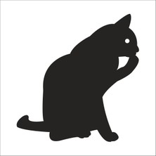 Technopa KEDİ FOLYO STİCKER - 100cm Uzunluk