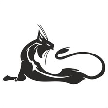 Technopa KEDİ FOLYO STİCKER - 50cm Uzunluk