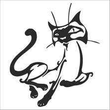 Technopa KEDİ FOLYO STİCKER - 60cm Uzunluk