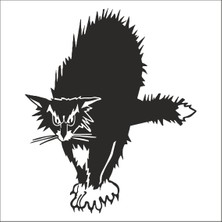 Technopa KEDİ FOLYO STİCKER - 200cm Uzunluk