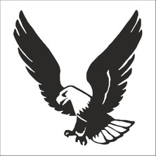 Technopa KARTAL FOLYO STİCKER DERSTV745 - 60cm Uzunluk