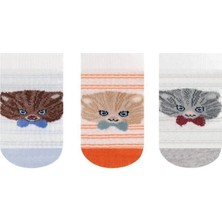Bross Kedi Desenli Erkek Bebek 3lü Patik Çorap ONL-02714