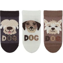 Bross Köpek Desenli  Erkek Bebek 3lü Step Asorti ONL-02717