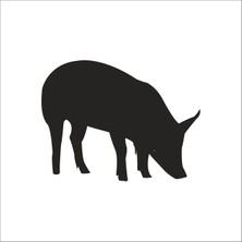 Technopa DOMUZ  FOLYO STİCKER - 20cm uzunluk