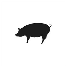 Technopa DOMUZ  FOLYO STİCKER - 80cm Uzunluk