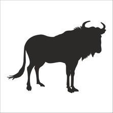 Technopa BUFALO FOLYO STİCKER - 90 cm uzunluk