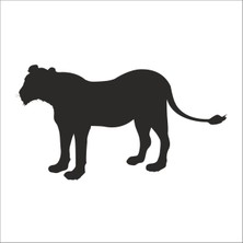 Technopa ASLAN FOLYO STİCKER - 200cm Uzunluk