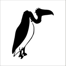 Technopa AKBABA FOLYO STİCKER - 200cm Uzunluk