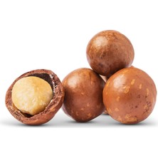 Çerezyolu Kabuklu Makademya Fındığı