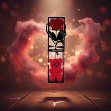 365Dükkan Ayıcıklı Şeffaf Kutulu Tekli Gül