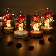 365Dükkan Balonlu Ayıcık Ledli Gül Fanus