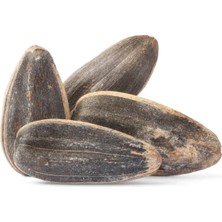 Çerezyolu Dakota Tuzsuz Ay Çekirdeği