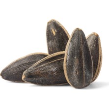 Çerezyolu Dakota Tuzlu Ay Çekirdeği