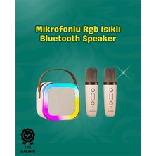 Argesco Mühendislik Iki Mikrofonlu Renkli LED Işıklı Karaoke Cihazı