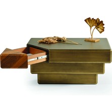 Levent Mobilya ve Aksesuar Quantum Orta Sehpa