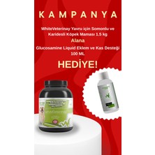 White Veterinay Whiteveterinay Tahılsız Yavru Tüm Irklar Için Somonlu ve Karidesli Köpek Maması 1.5 kg (Glukosamine Likit Hediyeli)