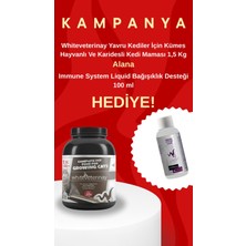 White Veterinay Whiteveterinaray Az Tahıllı Yavru Kediler Için Kümes Hayvanlı ve Karidesli Kedi Maması 1,5 kg (Immune Likit Hediyeli )