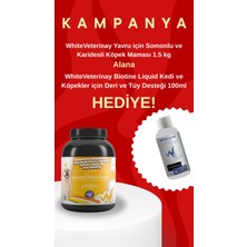 White Veterinay Whiteveterinay Tahılsız Yetişkin Köpekler Için Somonlu Köpek Maması 1.5 kg (Biotine Likit Hediyeli)