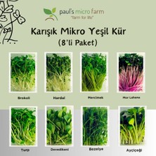 Pauls Micro Farm Haftalık Mikro Yeşil Kür 200 gr