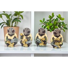 Elifeshop Lüks 4’lü Kaplumbağa Heykeli Feng Shui Şans Para Getiren Biblo Seti Ev Ofis Hediyesi