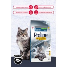 Proline Aktif Karbonlu Bentonit Topaklanan Kedi Kumu 20 L