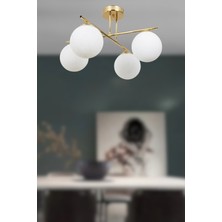 Ronisu Aydınlatma Neutral 4’lü Cam Küre Modern Avize – Salon & Oturma Odası Avizesi