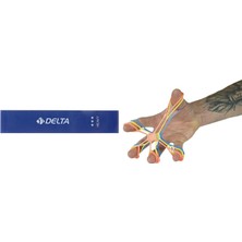 Delta 10 Adet Tam Sert Aerobik Band Latex Pilates Yoga Lasti... +1 Parça Fitness Seti