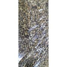 Çedene ( Kendir Kenevir ) Tohumu 100 gr