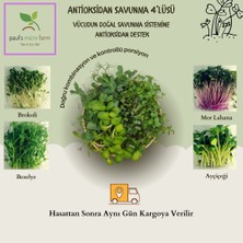 Pauls Micro Farm 4 Günlük Antioksidan Mikro Yeşil Kür