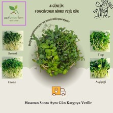 Pauls Micro Farm 4 Günlük Fonksiyonel Mikro Yeşil Kür