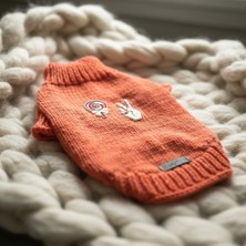 Lady Fify Kedi ve Köpek Için Lolipoplu Turuncu Kazak